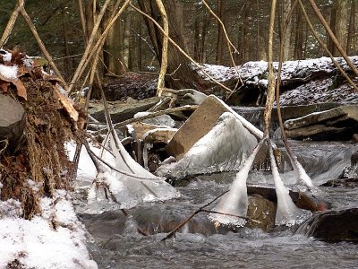 Jones Park Dsc00445 (Water).jpg