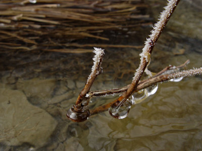 Snow  tracy creek ice DSC08063 (Water).JPG