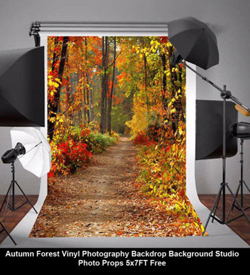 Autumn Forest Vinyl Photography Backdrop Background Studio Photo Props 5x7FT Free.jpg