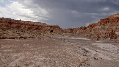 RX10 IV  R1001513 Cathedral Canyon_dphdr.jpg