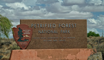 RIV02609 Petrified Forest Arizona_dphdr.jpg
