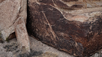 RIV02626 Petrified Forest Arizona.jpg