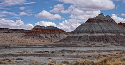 RIV02646 Petrified Forest Arizona_dphdr.jpg