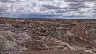 RIV02655 Petrified Forest Arizona_dphdr.jpg