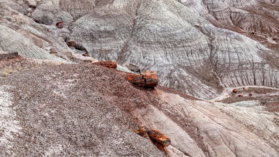 RIV02700 Petrified Forest Arizona_dphdr.jpg