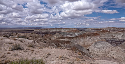 RIV02718 Petrified Forest Arizona_dphdr.jpg