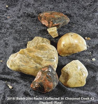 2018 (Batch 20o) Rocks I Collected  in  Choconut Creek #2 RX405408 (Stacked) (Raw) (Labeled.jpg
