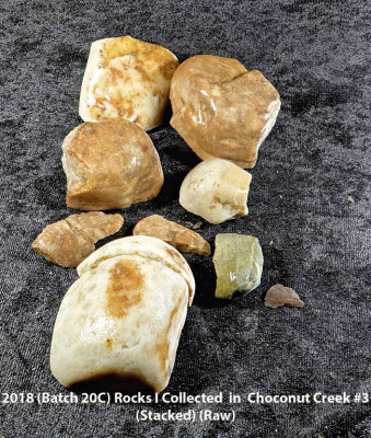 2018 (Batch 20C) Rocks I Collected  in  Choconut Creek #3 RX405917 (Stacked) (Raw) (Labeled).jpg