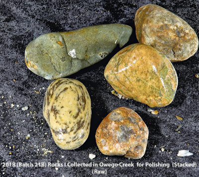 2018 (Batch 21B) Rocks I Collected in Owego Creek  for Polishing RX403538 (Stacked) (Raw) (Labeled).jpg