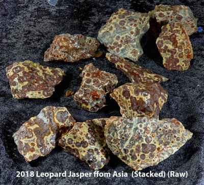 2018 1 lb Leopard Jasper ffom Asia $22 RX407293 (Stacked) (Raw) (Labeled).jpg