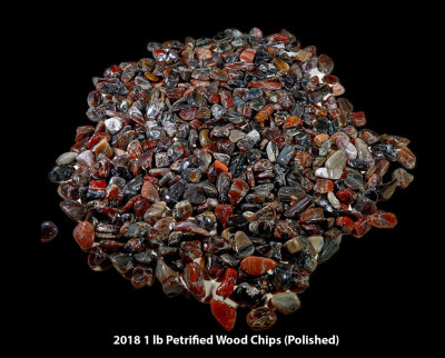 2018 1 lb Petrified Wood Chips RX405432 (Polished) (Labeled).jpg
