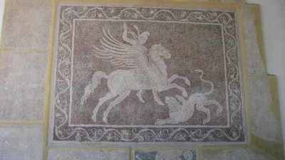 IMG_4951.JPG