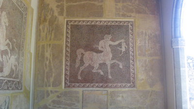 IMG_4952.JPG