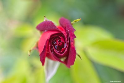 g10/64/944964/3/168112297.u2VcNoX2.jpg