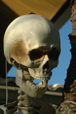 2018 Halloween 05.JPG