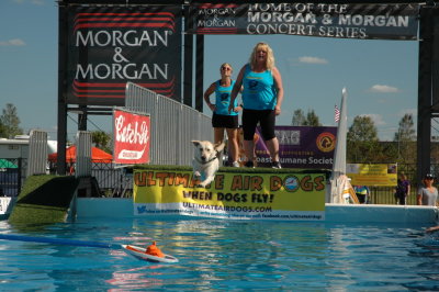 2017 Hogs and Air Dogs 01.JPG