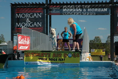 2017 Hogs and Air Dogs 02.JPG