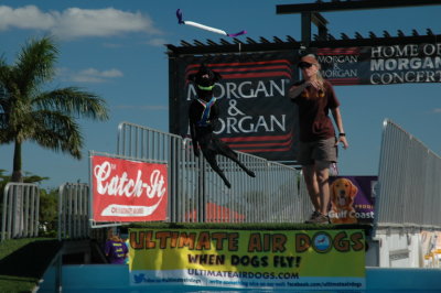 2017 Hogs and Air Dogs 03.JPG