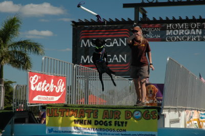 2017 Hogs and Air Dogs 04.JPG