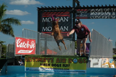 2017 Hogs and Air Dogs 06.JPG
