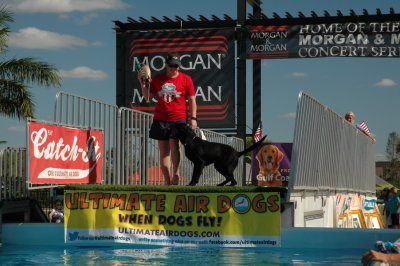 2017 Hogs and Air Dogs 10.JPG