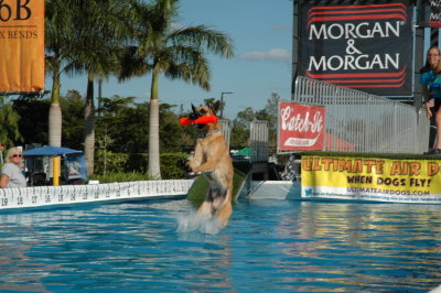 2017 Hogs and Air Dogs 102.JPG