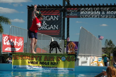 2017 Hogs and Air Dogs 11.JPG