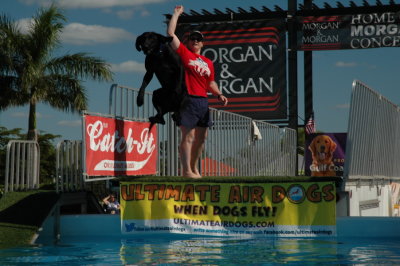 2017 Hogs and Air Dogs 12.JPG