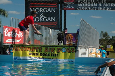 2017 Hogs and Air Dogs 14.JPG