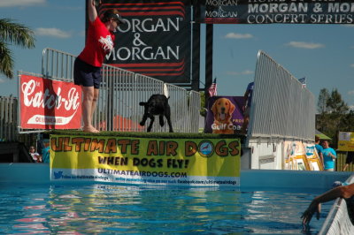 2017 Hogs and Air Dogs 15.JPG