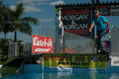2017 Hogs and Air Dogs 18.JPG