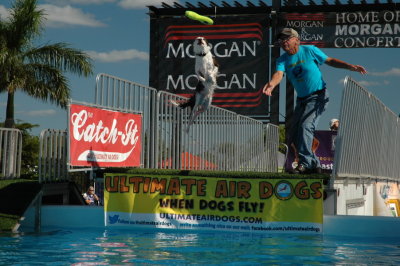 2017 Hogs and Air Dogs 20.JPG