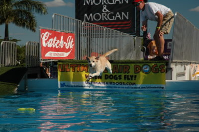 2017 Hogs and Air Dogs 24.JPG