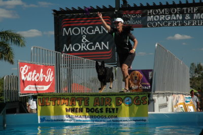 2017 Hogs and Air Dogs 27.JPG