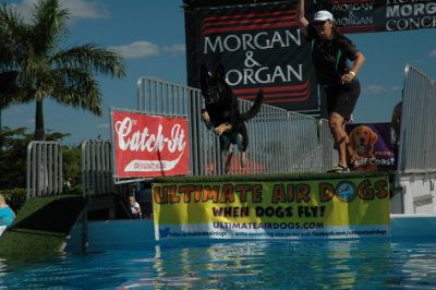 2017 Hogs and Air Dogs 28.JPG