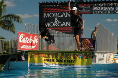 2017 Hogs and Air Dogs 31.JPG