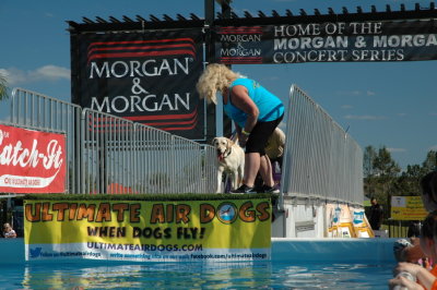 2017 Hogs and Air Dogs 33.JPG