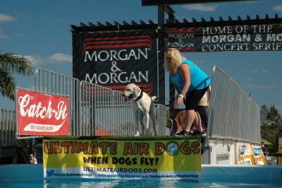 2017 Hogs and Air Dogs 34.JPG