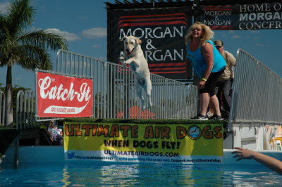 2017 Hogs and Air Dogs 35.JPG