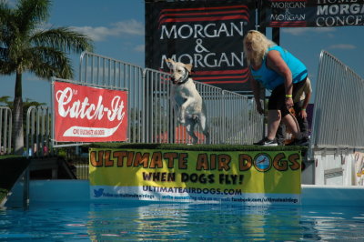 2017 Hogs and Air Dogs 36.JPG