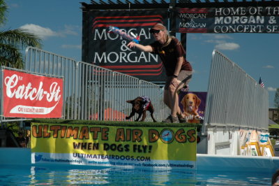 2017 Hogs and Air Dogs 39.JPG