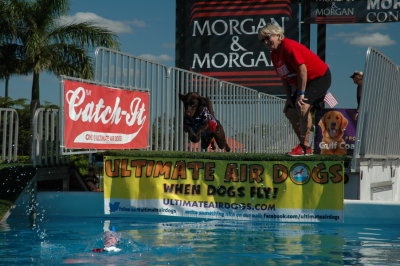 2017 Hogs and Air Dogs 42.JPG
