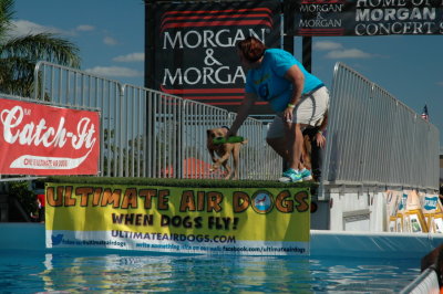 2017 Hogs and Air Dogs 46.JPG