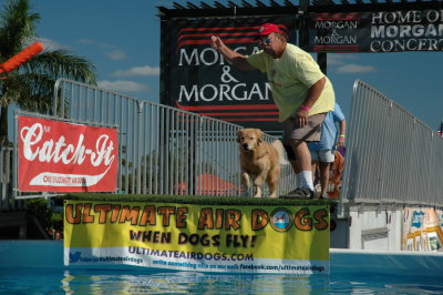 2017 Hogs and Air Dogs 49.JPG
