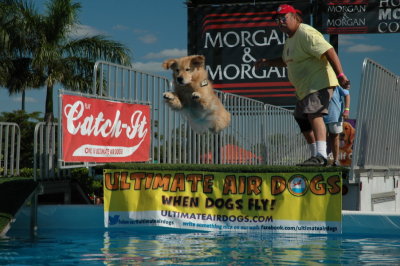 2017 Hogs and Air Dogs 50.JPG