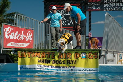 2017 Hogs and Air Dogs 64.JPG