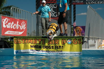 2017 Hogs and Air Dogs 65.JPG