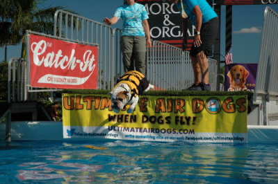 2017 Hogs and Air Dogs 66.JPG
