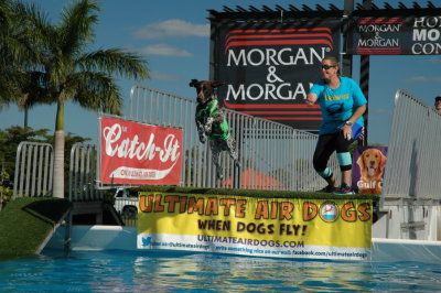 2017 Hogs and Air Dogs 75.JPG