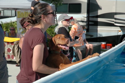 2017 Hogs and Air Dogs 78.JPG